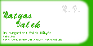 matyas valek business card